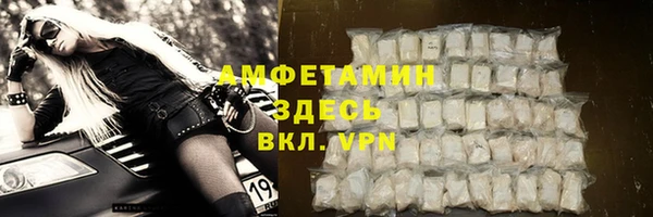 дмт Инсар