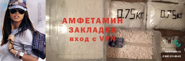шишки Инта