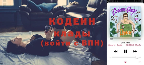шишки Инта