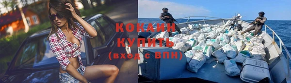 шишки Инта
