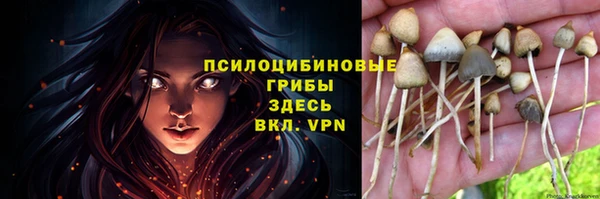 дмт Инсар