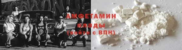 шишки Инта