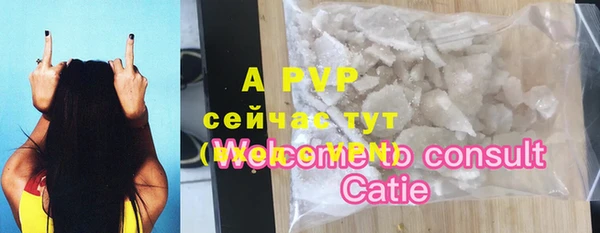 дмт Инсар