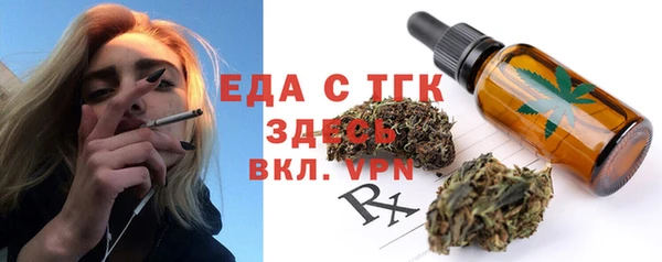 шишки Инта