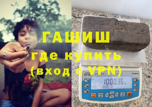 шишки Инта