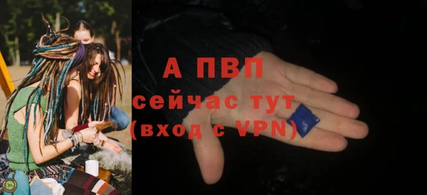 шишки Инта