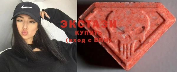 шишки Инта
