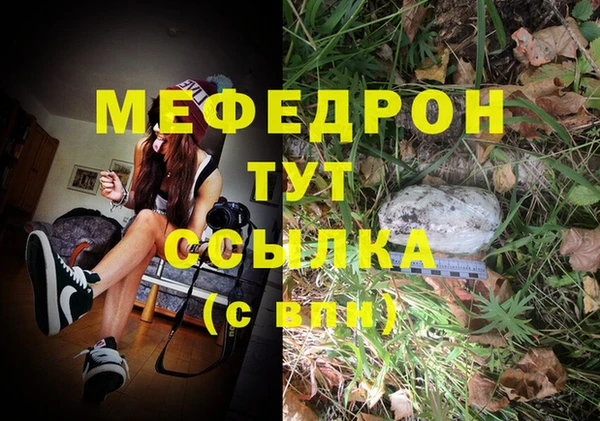 шишки Инта
