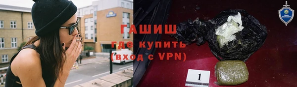 шишки Инта