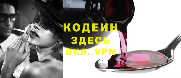 дмт Инсар
