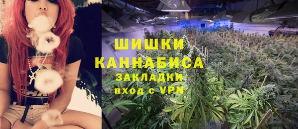дживик Иннополис