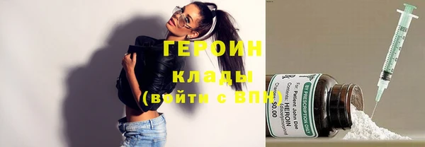 шишки Инта