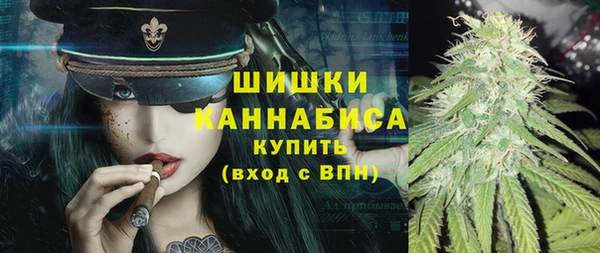 дживик Иннополис