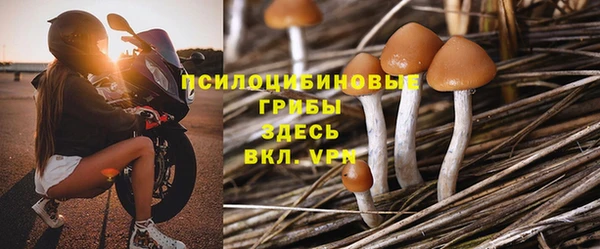 шишки Инта
