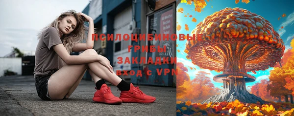 дживик Иннополис