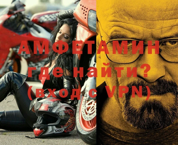 шишки Инта
