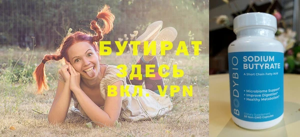 шишки Инта
