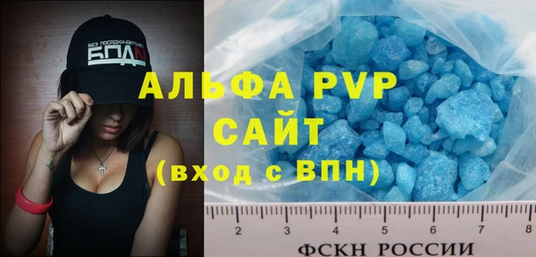 шишки Инта