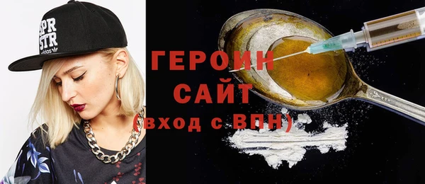 шишки Инта