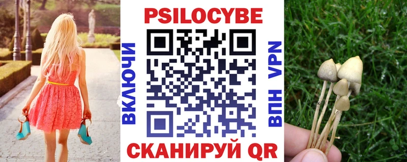 Псилоцибиновые грибы GOLDEN TEACHER Берёзовский
