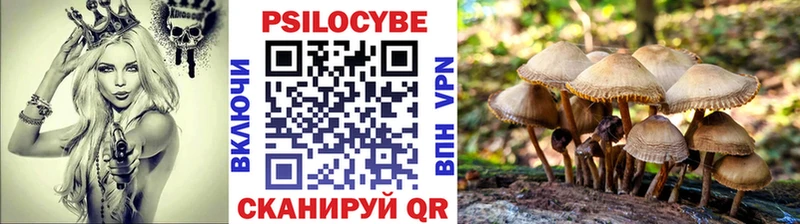 Купить  Берёзовский  Псилоцибиновые грибы GOLDEN TEACHER 